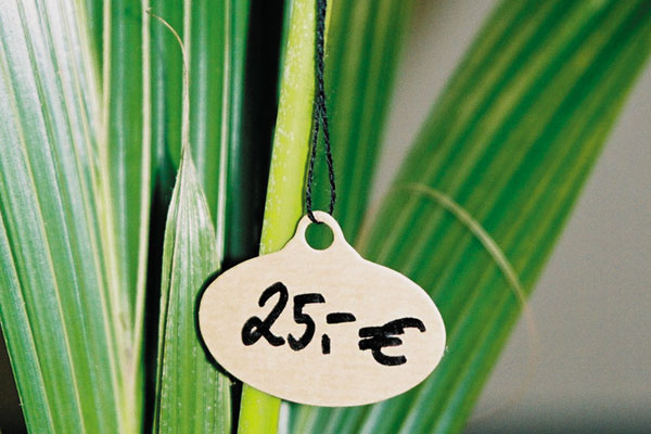 Anhängeetiketten aus braunem Kraftkarton in Packpapier-Optik für Pflanzen und Dekoartikel